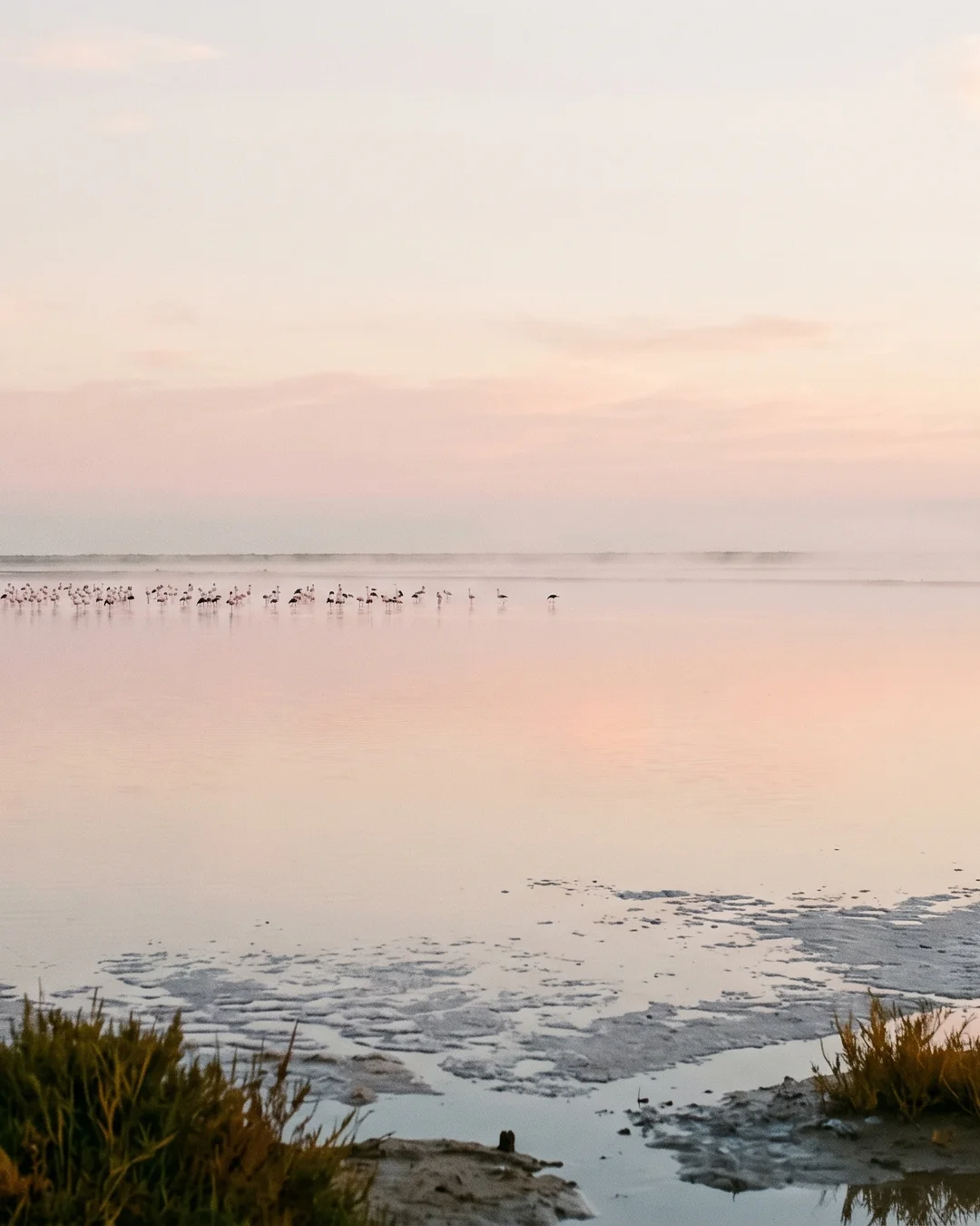 Salinas del Delta del Ebro al amanecer